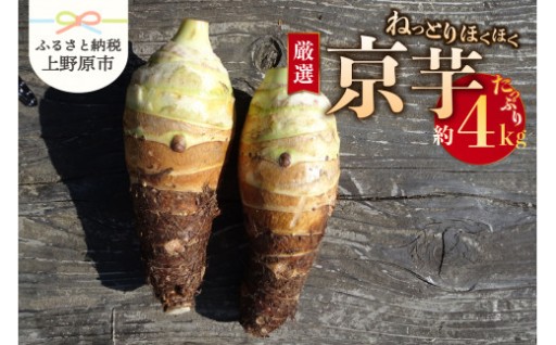 山梨県上野原市産 京芋(農家 農天氣) 約4kg
