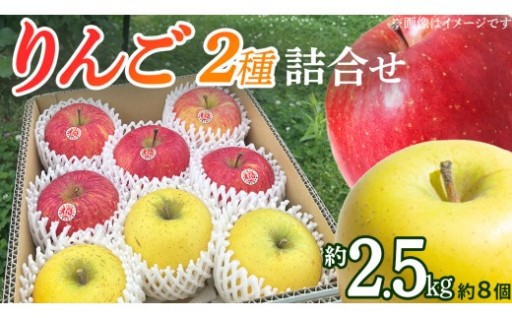 『一番美味しい瞬間』を農家直送！りんご 2種 詰め合わせ 約2.5kg