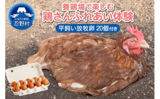 養鶏場で楽しむ！鶏さんふれあい体験
