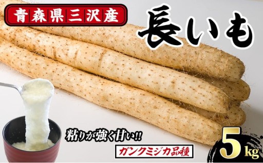 青森県三沢市産 長いも (5kg)