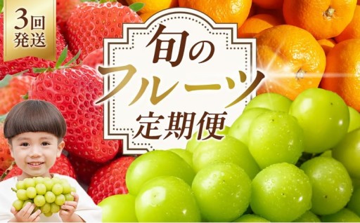 ＜定期便・全3回＞フルーツ定期便