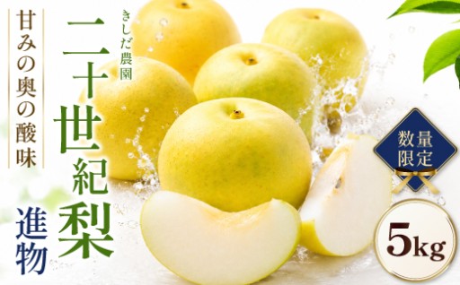 鳥取が誇る名品！極上の二十世紀梨（進物5kg）