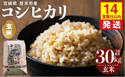【14営業日以内に発送予定】≪令和7年産≫ コシヒカリ 玄米 30kg×1袋