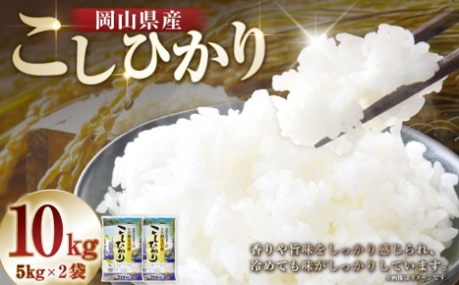 【 令和7年産 】 岡山県産 コシヒカリ 10kg （ 5kg × 2袋 ） 