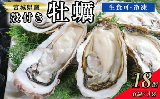 殻付き牡蠣（生食用）冷凍 18個（約1.5kg）