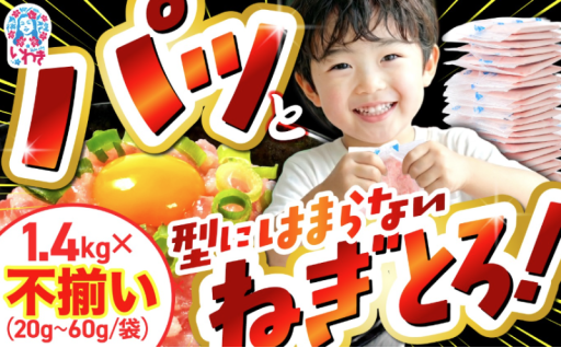 新登場！型にはまらないねぎとろ！？