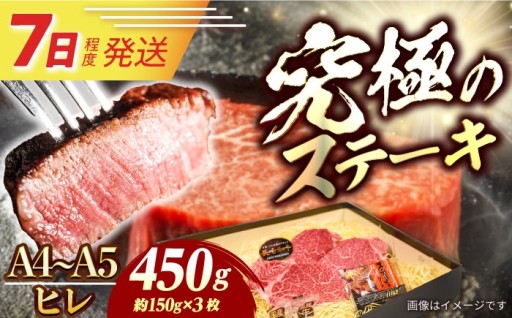 【最短7日！うれしいスピード発送】長崎和牛ヒレ