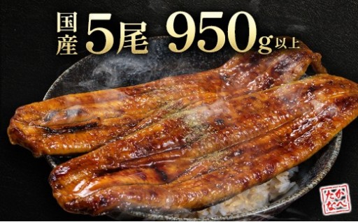 【見逃し厳禁‼】特大うなぎ蒲焼✨