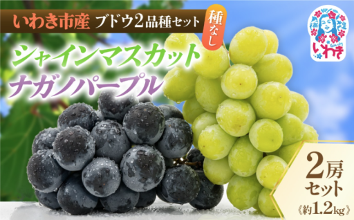 【 先行予約 】「シャインマスカット」と「ナガノパープル」、人気のブドウ2品種の食べ比べセット！