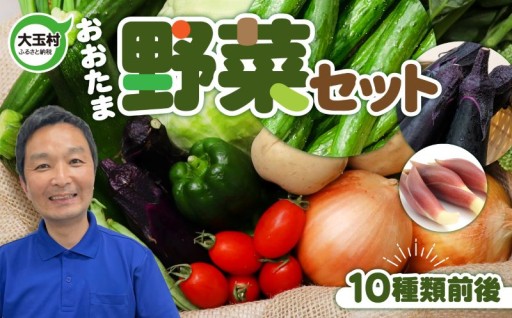 カテゴリー内2位獲得！リピーター続出！！野菜セット 10種類前後