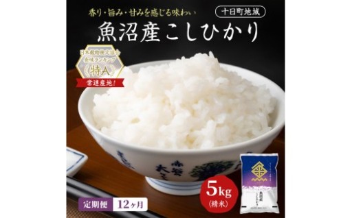 【令和8年産 先行予約】【12ヶ月定期便】魚沼産こしひかり(十日町地域) 精米 5kg 