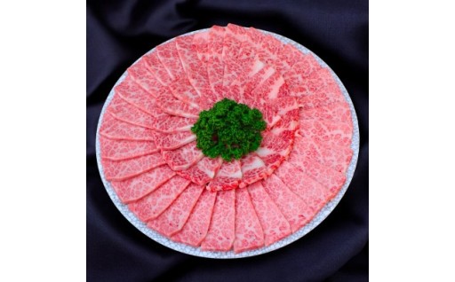 ＜飛騨牛＞白銀焼肉用1kg