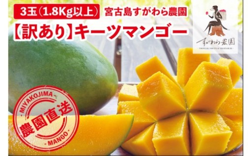 《2026年発送》宮古島すがわら農園 【訳あり】 キーツマンゴー 3玉（FR013）