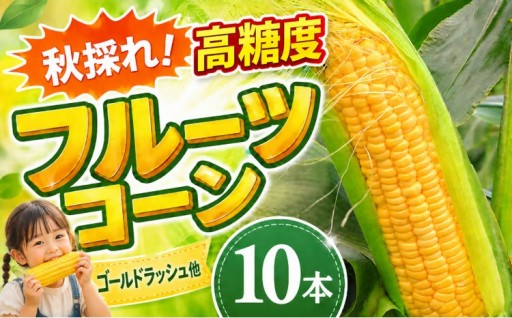 【先行予約】秋採れ 南国フルーツコーン イエロー種10本