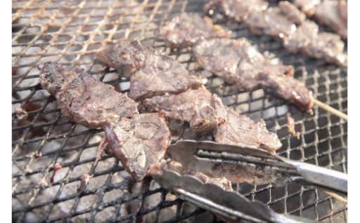 エゾシカ 鹿肉 ロース・タン 串物 セット 各5本入り