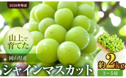 山上で育てたシャインマスカット 約2kg（9月下旬～10月下旬頃発送）