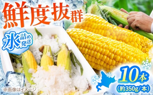 ＼終了間近！／ 人気の『氷詰めとうもろこし』🌽