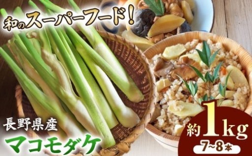 【 先行予約】完全自然栽培マコモダケ 約1kg