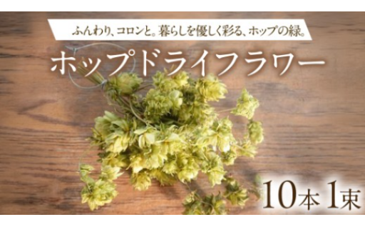 国内唯一無二のホップドライフラワー🌷