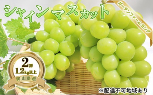 岡山県産 シャインマスカット 1.2kg以上(2房)