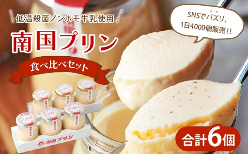 【宮崎県都農町】幸せ運ぶ『南国プリン🍮』