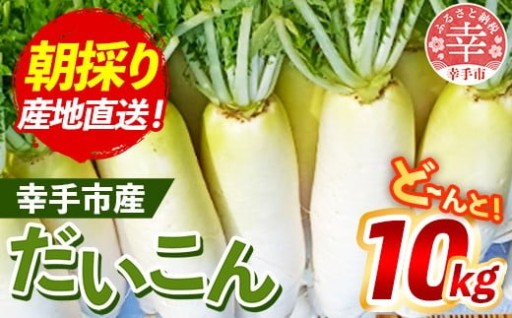 ✨大人気！✨【きあり農園】幸手市産 大根 10kg