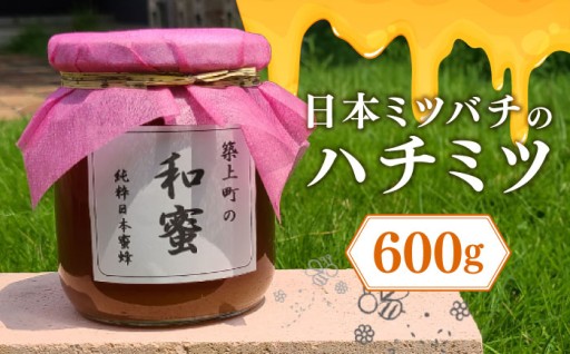 【希少な純国産】日本ミツバチだけが作る、熟成1〜2年の「築上町の和蜜」600g