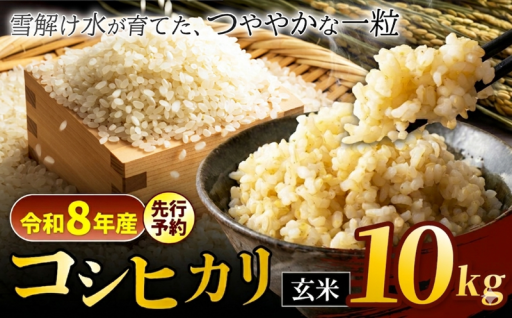 【令和8年産先行予約】コシヒカリ 玄米 10kg