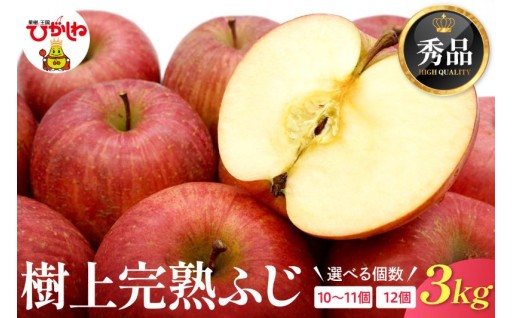 【山形県東根市】東根市が誇る、りんごの王様「ふじ」を“最も美味しい瞬間”にお届けします✨