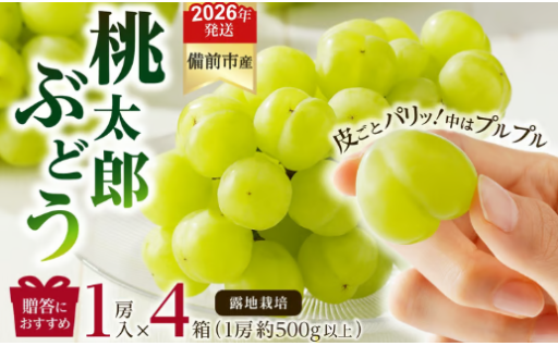 びぜん葡萄「桃太郎ぶどう」（露地栽培）1房入×4箱セット