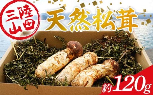 ＼先行予約受付中／三陸山田産の天然松茸！