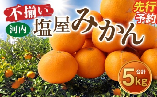 ＜ R8年熊本地震復興支援 ＞【不揃い】選べる 河内 塩屋みかん 5kg