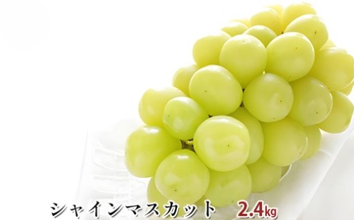シャインマスカット 約 2.4kg