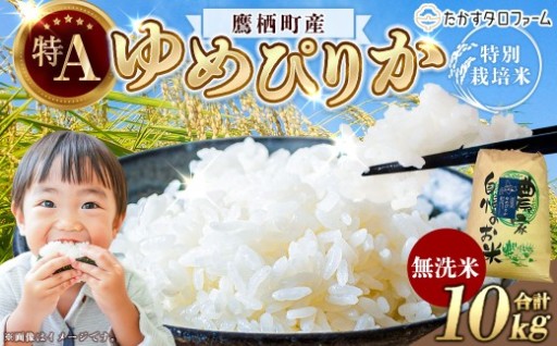 【ふるさとチョイス限定】【令和7年産】 ゆめぴりか （ 無洗米 ） 10kg
