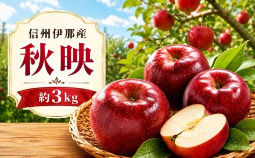 【先行受付】信州伊那産 りんご 秋映 約3kg【10月下旬頃から順次発送予定】