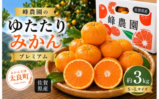 峰農園のゆたたりみかん 【 プレミアム 】 約3kg