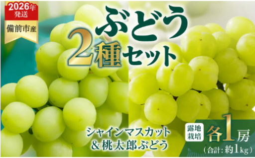 びぜん葡萄「シャインマスカット」「桃太郎ぶどう」（露地栽培）各1房入2種セット