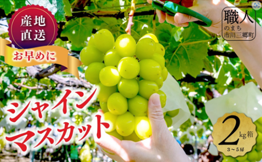 シャインマスカット 山梨 2kg (3～5房)