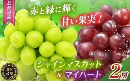先行予約　マイハート1房とシャインマスカット1房