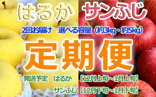 冬のりんご はるか×サンふじ定期便 選べる容量（各3kg・各5kg）