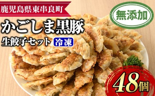 鹿児島黒豚生餃子セット(12個入×4パック・計48個)