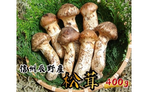 061 辰野産 天然松茸 400g