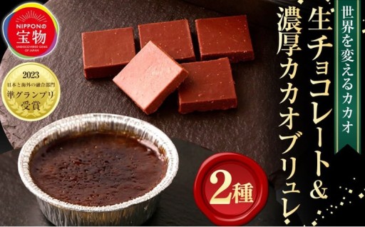 【世界を変えるカカオ】 生チョコレート ＆ 濃厚カカオブリュレ 生チョコレート2箱　濃厚カカオブリュレ 1箱