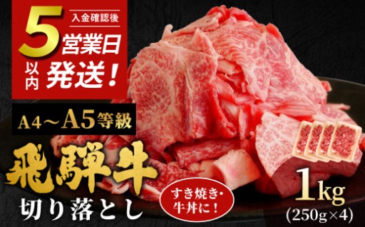 飛騨牛 A4~A5等級 切り落とし 1kg