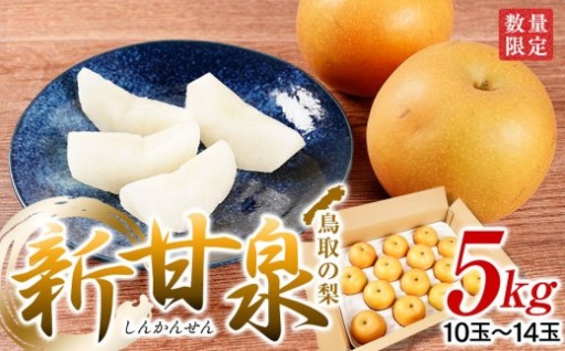 梨 新甘泉梨 5kg ( 5kg × 1箱 )