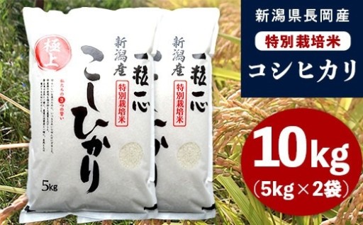 ★令和8年産♪「新米」！★2026年10月上旬頃より発送開始予定！