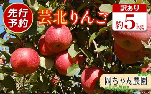 🍎🍂秋の味覚を今から先行予約！✨