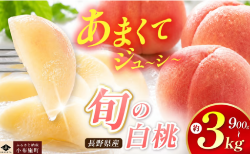 旬の白桃 約900g 約2kg 約3kg 選べる内容量 