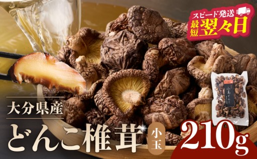訳ありの人気肉厚「どんこ椎茸(中玉)」