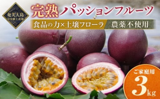 2027年発送【農薬不使用】奄美完熟パッションフルーツ 約3kg